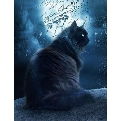 Diamond painting black cat,full square round diamond embroidery full display mosaic cross stitch needlework 5D diy animal decor