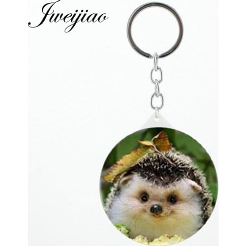 JWEIJIAO Hedgehog In The Fog Mini Beauty Health keychain Mirrors Round Decoration DIY pocket mirror H254