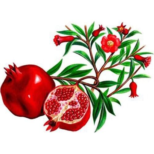 5D Diy Diamond Painting Fruit tea Decor Painting 3D Diamond embroidery Resin inlaid Cross Stitch Needlework