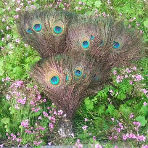 Wholesale 10 PCS natural peacock feathers 25 to 30 cm dress adornment feather crafts, peacock eye