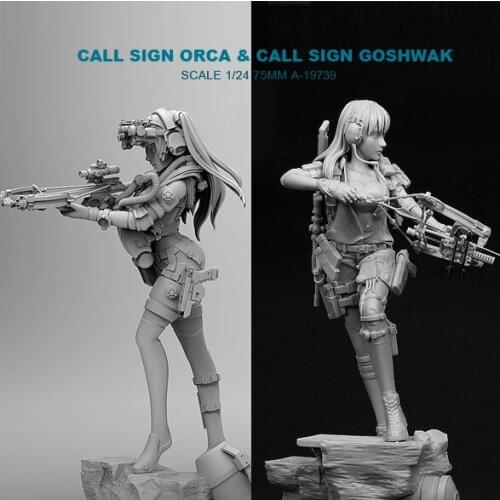 1/24 Resin Kits model Killer Whale Beauty Shooter + Modern Female Archer Resin Soldier (2piece) (75mm) A-19739