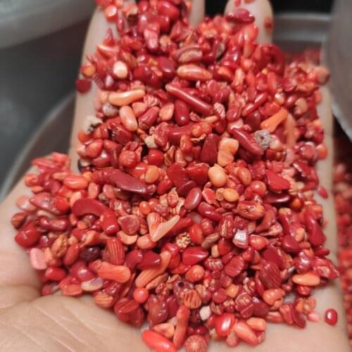100g Red Coral Rubble for Cabbing / Cutting / Lapidary / Tumbling / Polishing