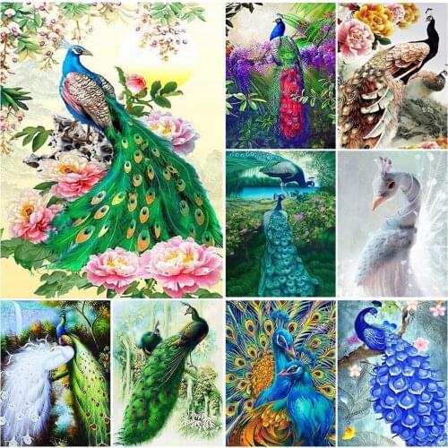 5D DIY Diamond Painting Animal Cross Stitch Kit Full Square Round Diamond Embroidery Peacock Mosaic Picture of Rhinestones Decor