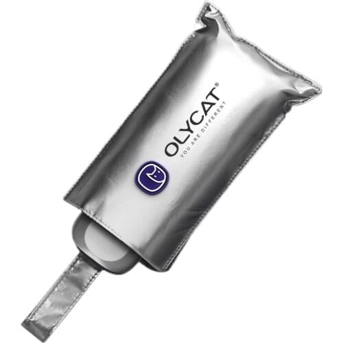 Flat Sun Umbrella Rain Women Titanium Silver Anti UV Mini Kids Portable Five-folding Windproof UPF50