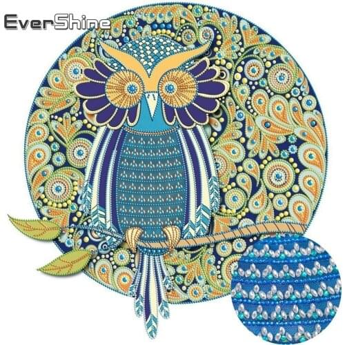 EverShine Special Shaped Diamond Painting Animals Picture Of Rhinestone Diamond Mosaic Diy Diamond Embroidery Owl Home Decor