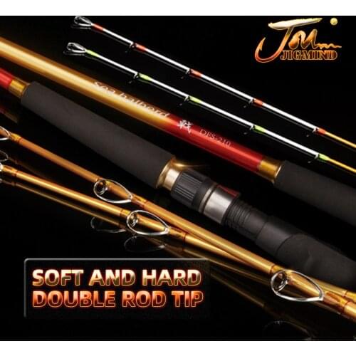 2.1m 150g~350g Or 200g~500g Soft And Hard Double Tips Made In China