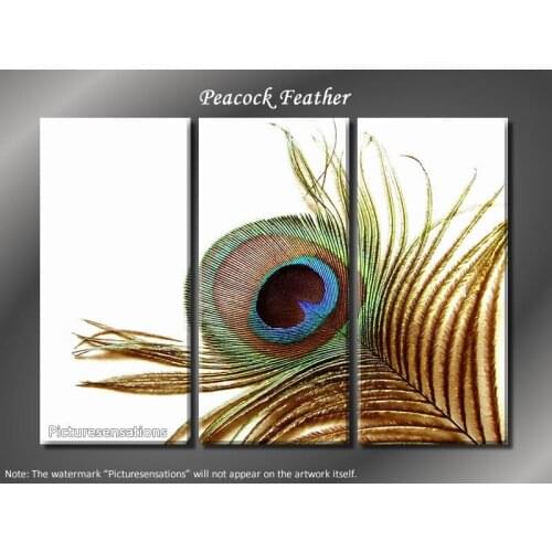 Huge 3 Panel Bird Beauty - Peacock Feather