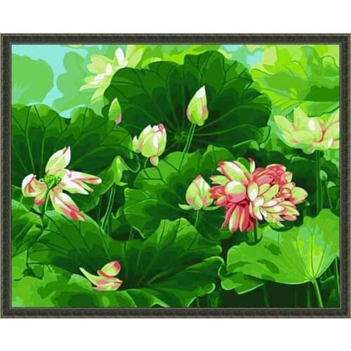 MaHuaf-X408 painting set by numbers on canvas on a frame of acrylic 40x50cm wall pictures for living room Louts bloom in pond