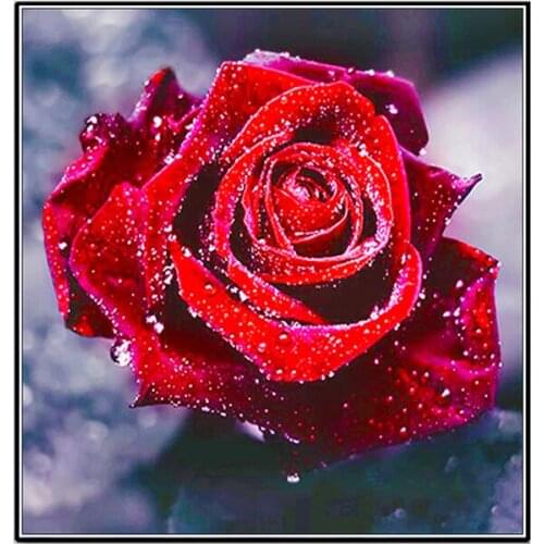 5d Rubiks Cube Diamond painting Small living room decoration painting beautiful rose diy stick drill cross stitch