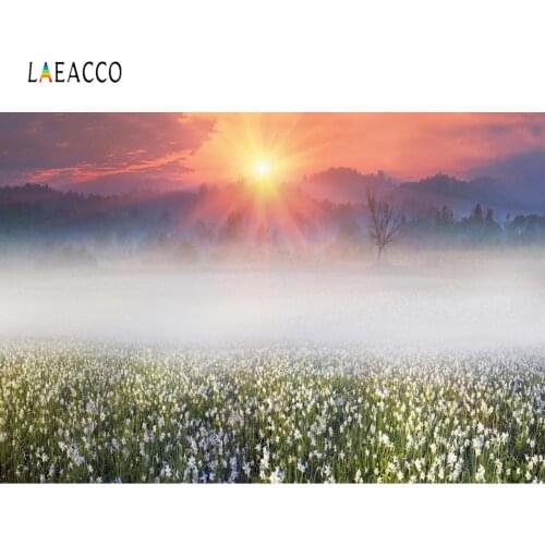 Laeacco Hanada Sunshine Mountain Field Scenic Photography Backgrounds Vinyl Customizable Photographic Backdrops For Photo Studio