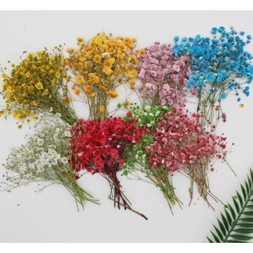 RONGWINGYIK Home And Garden Products