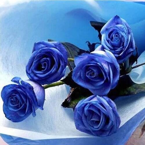 DIY 5D Full Square/Round Rhinestones Diamond Painting Cross Stitch Flowers Diamond Embroidery Blue Rose Paintings Home Decor