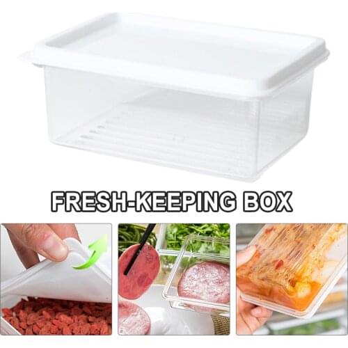 Square Refrigerator Storage Box Reusable Plastic Kitchen Food Fruit and Vegetable Fresh Keeping Case with Cover TS2
