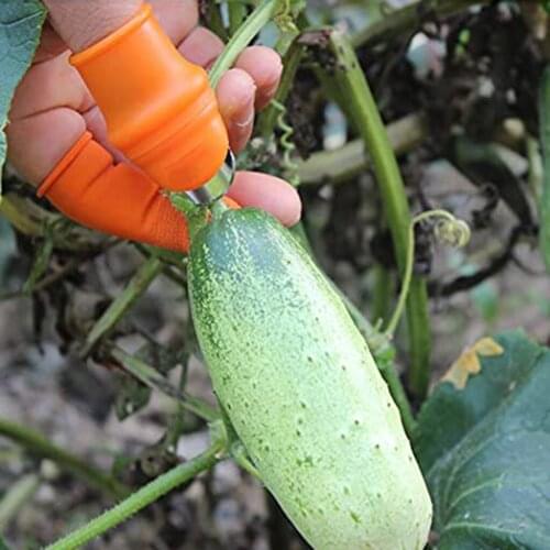 Garden Silicone Thumb Knife Vegetable Picking Protective Cover For Thumb Potted Plants Trim Gardening Accessories Dropshipping