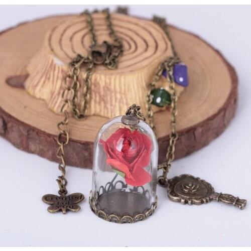 Women Romantic Dried Flowers Glass Bronze Long Chain Beauty and Beast Necklaces