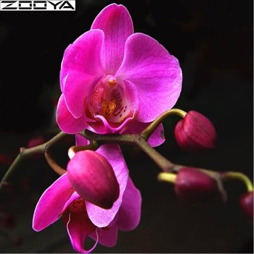 ZOOYA 5d Diamond Painting flowers Diamond Embroidery Wall Stickers Orchid Calla Mosaic Full Round Drill Painting by numbers R231