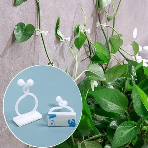 Plant wall climbing Vine Clips Invisible Self-Adhesive fixator traceless Hole free hook Storing wires cables Sticky Hook support