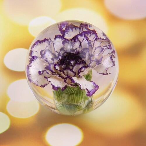 Natural Purple Carnation Crystal Glass Resin Lens Ball Plants Flower Specimen Christmas Love Mom Gift With Box Home Decor Globe