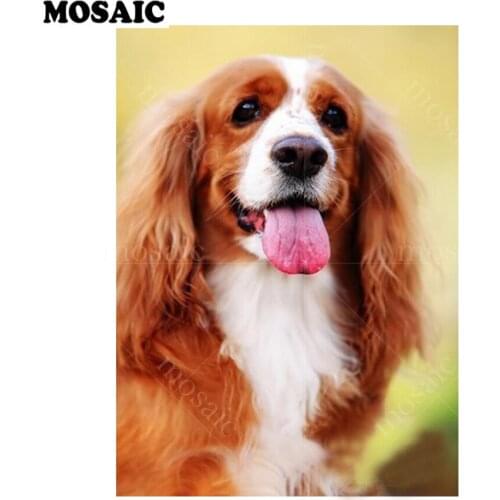 Customized Needle animal 5d diy diamond painting English cocker spaniel square full 3d diamond mosaic painting home decoration
