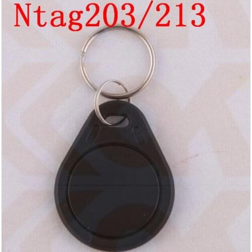 Wholesale 10000PCS 13.56MHz key tags rfid