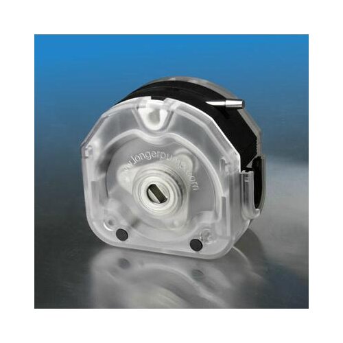 Baoding Lange KZ25 fast loading type peristaltic pump KZ25-13-A pump head one year warranty can be invoiced