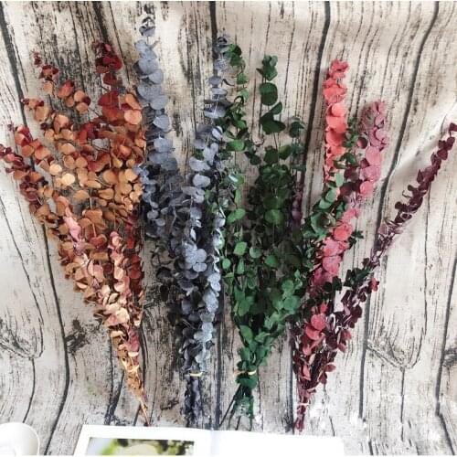 1 Bouquet Natural Preserved Eucalyptus Leaves Eternal Dried Flowers Wedding Home Room Decoration Accessories,Display Dry Flower