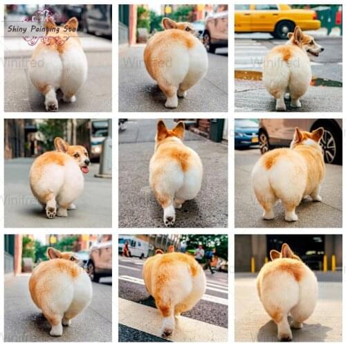 Full Square Round Diamond Painting Cute Corgi Butt Pictures Of Rhinestones Diamond Embroidery Dog Animal Cross Stitch Home Decor
