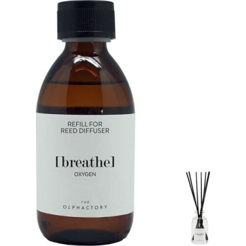 AMBIENTAIR Aroma Diffusers With Sticks
