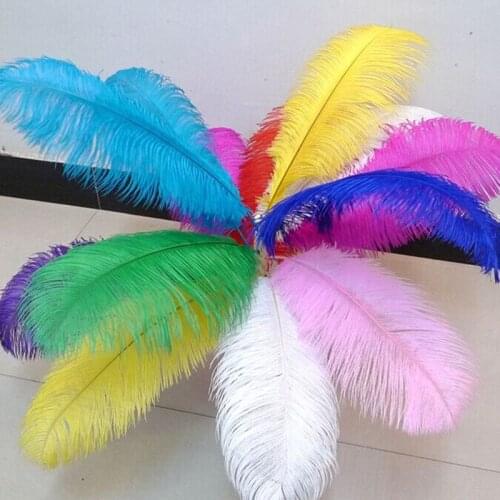 100pcs beautiful ostrich feathers 24-26 inch / 60-65 cm multi-color feathers for wedding celebration performance decoration