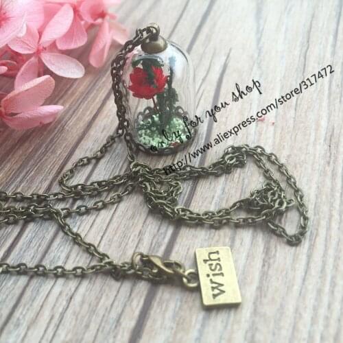 5pcs Handmade luminous sand Beauty and the Beast Bell Glass Necklace Rose Vial Flower Dome Cute Gift 30*20mm glass