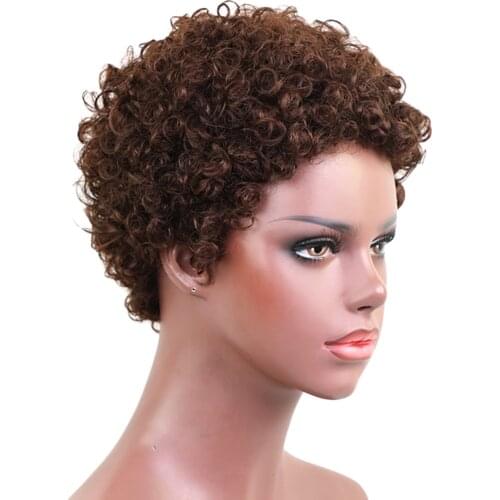 Afro Short Curly Wig for Black Women Real Human Hair Full Wigs Natural Brown
