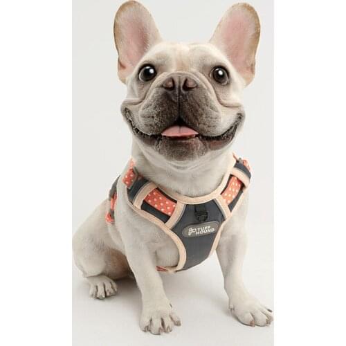 Dog Breast Strap Leash Rope Dog Chain Dog Rope Pet Products