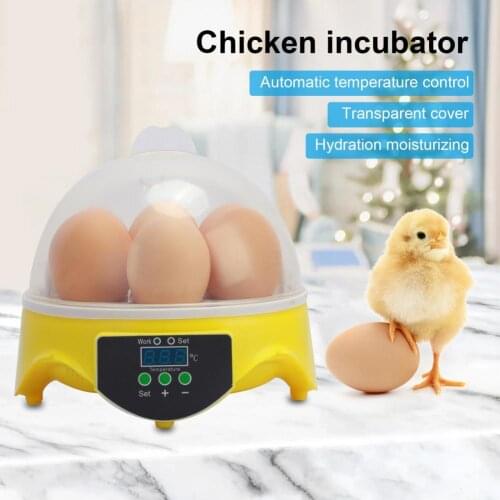 7 Eggs Automatic Mini Digital Incubators Kitchen Digital Panel Temperature Sensing Intelligent Egg Brooder US/EU/UK/AU Plug