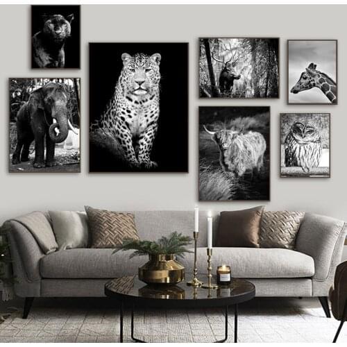 Cat Elephant leopard elk giraffe bull owl Wall Art Canvas Painting Nordic Posters And Prints Wall Pictures For Living Room Decor
