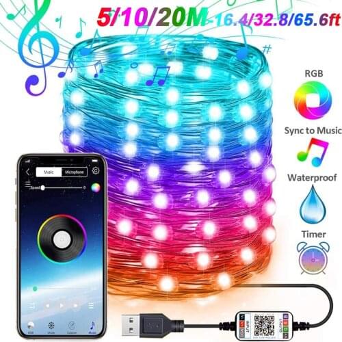 USB Copper Wire Lights Smart APP Bluetooth Control RGB Fairy String Light 5M/10M/20M High Quality 50-200LED Waterproof LightsD30