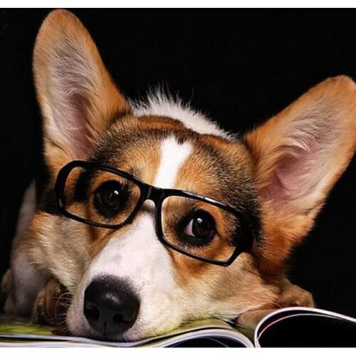 5D Diy Full Drill Embroidery Square Stone Pearl Diamond Painting Animal Dog Mosaic Christmas Gift Wedding decoration BK