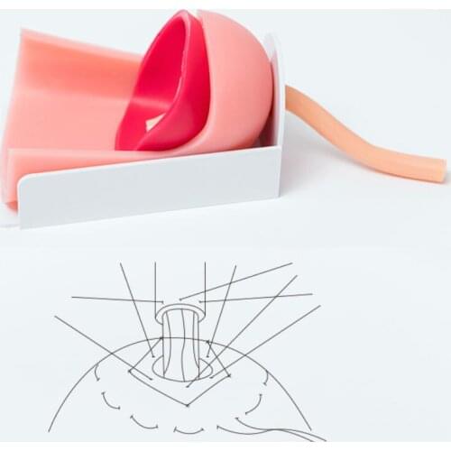 Laparoscopic surgery practice/urethral bladder anastomosis model