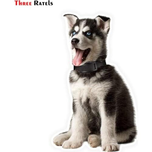 Three Ratels LCS429# 9.4x15cm Husky Car Stickers Funny Styling Removable Decal