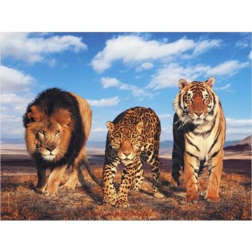 Embroidery Counted Cross Stitch Kits Needlework - Crafts 14 ct DMC color DIY Arts Handmade Decor - We are not Sick Cats