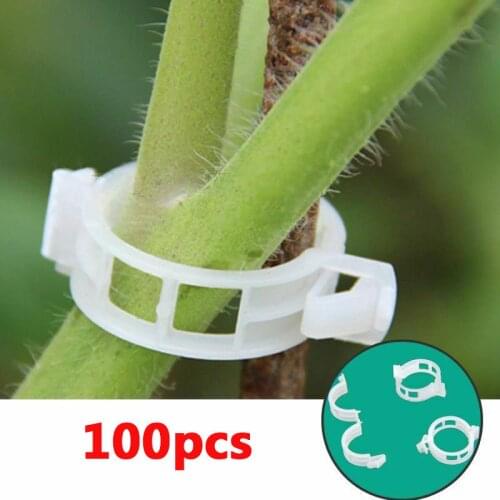 Plant Support Clips for Garden Tomato Vegetable Vines Upright and Make Plants Twine Clips Vine, Beans, Vegetables, Fruits, Rose