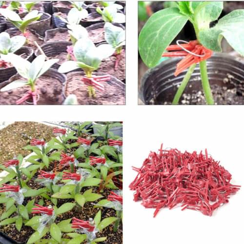 100pcs Durable Plastic Grafting Clips For Garden Vegetable Flower Bushes Plants