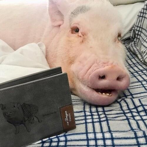 Personalized Pet Photo Mens Wallet ，Custom Photo Wallet， Personalized Photo Wallet ， Custom Wallet ，Personalized Wallet