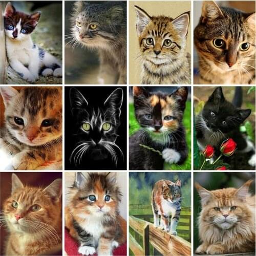 DIY Cat 5D Diamond Painting Cross Stitch Animal Cat Diamond Embroidery Full Square Rhinestone of Picture Gift Home Decor