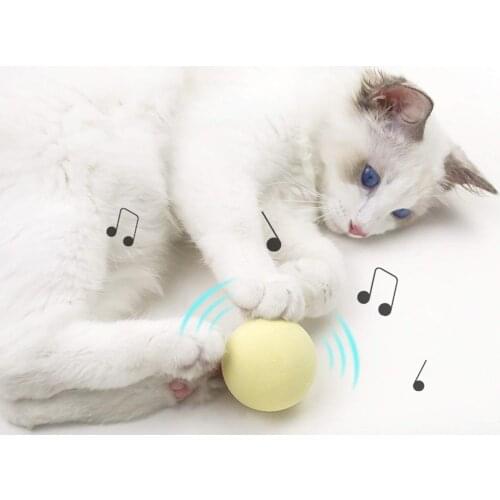 Interactive Cat Toys Ball Electric Smart Cat Training Catnip KittenToy Pet Playing Simulation Sound Ball Products Toy for Cats