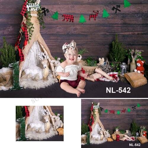 Wild One Birthday Baby Decorations Backdrop Jungle Safari Animal Adventure Child 1st Cake Smash Wooden Photography Background