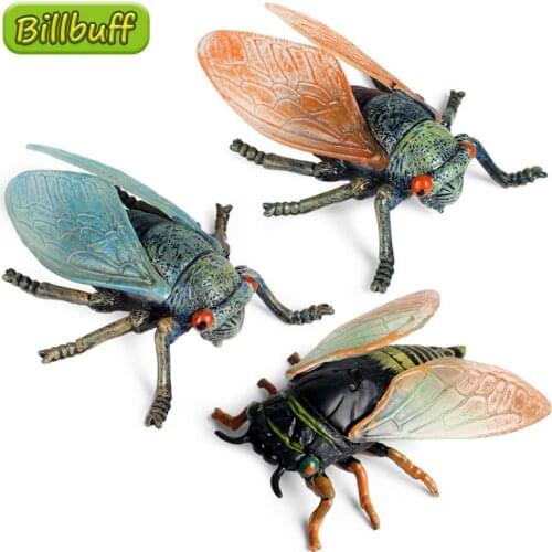 Simulation Insects Model PVC Cicada Locust Dragonfly Action Figures Collection Miniature Cognition Educational Toys for Children