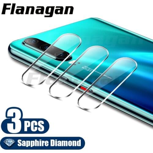 Flanagan Protective Glass On The Phone