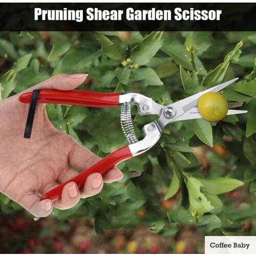 1Pc Sturdy Pruning Shear Fruit Tree Bonsai Gardening Pruning Shear Tool Straight Blade Outdoor Scissors Pruner Shear Clippers