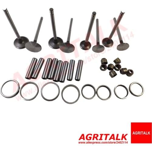 Set of intake and exhaust valves kit for Jiangdong JD495 for tractor like Jinma, Luzhong series tractor use