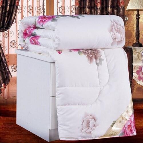Autumn Winter Thicken Warm Quilt Blanket Double King Queen Bed Cover Bedding Skin-friendly Printed Comforter Home Hotel Duvets
